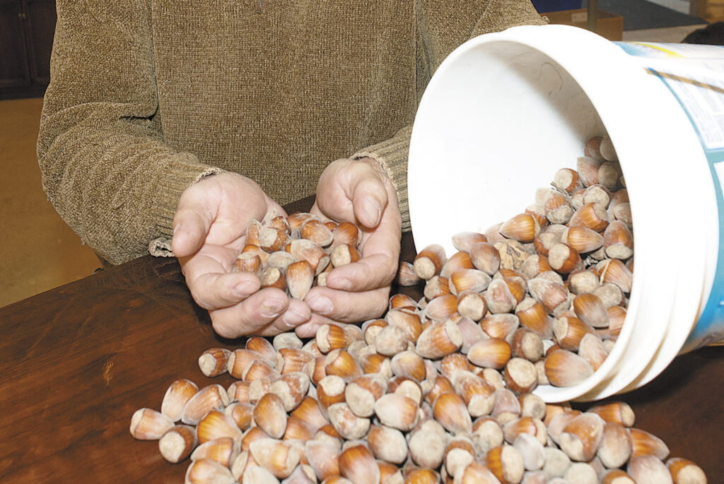 Going nuts on a new farm crop