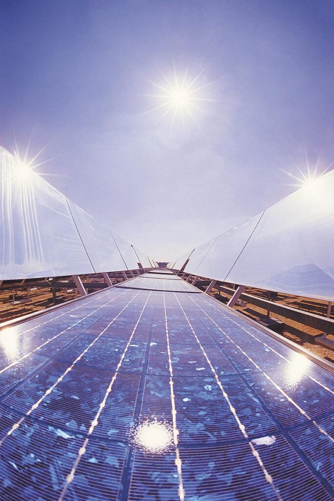 Green companies taking root