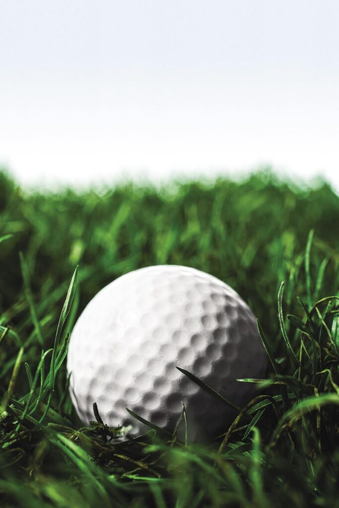 Local golfer wins provincial silver