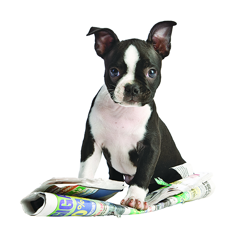 The Sarnia Journal trivia challenge