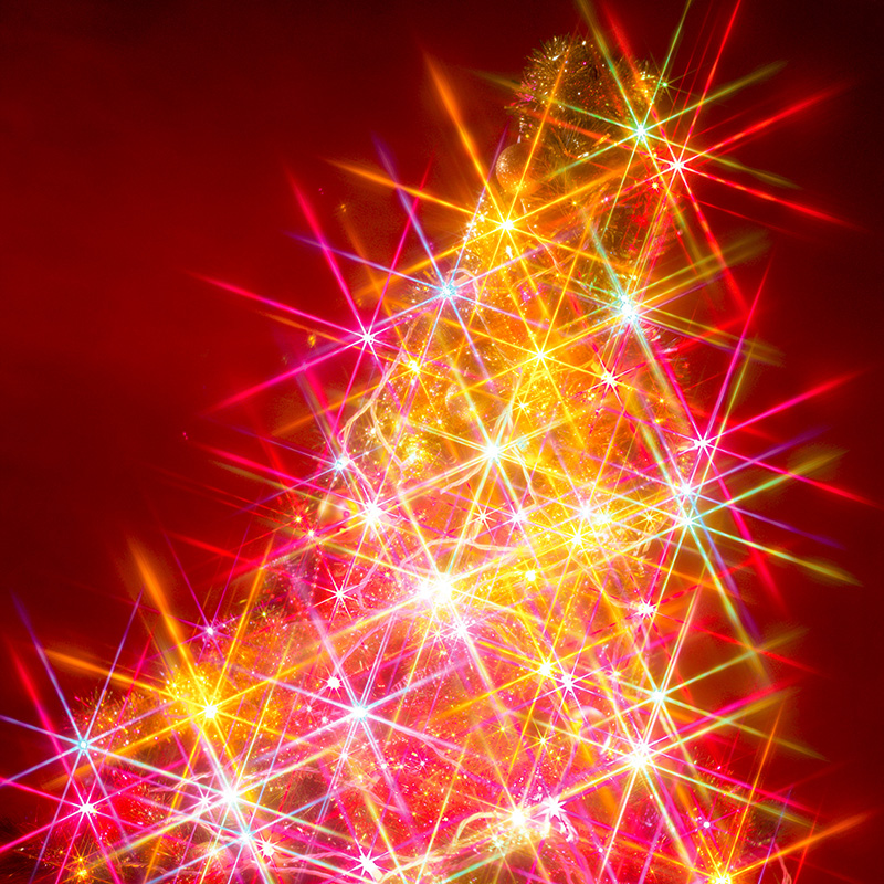 Merry Christmas!