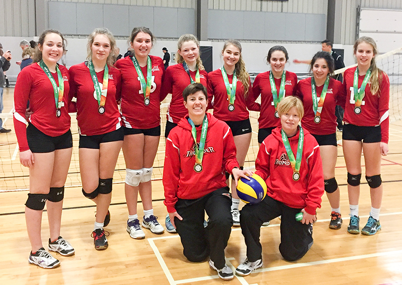 Volleyball silver
