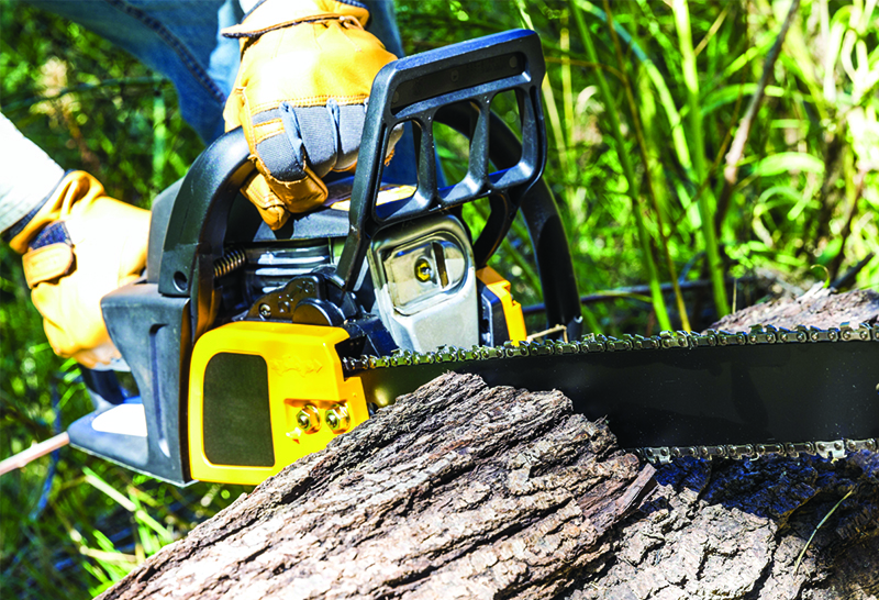 City eyes tree bylaw that could impact private property rights