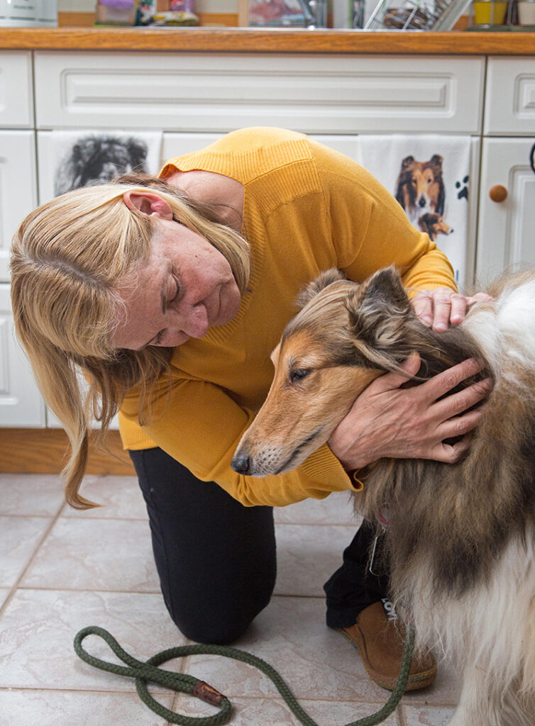 Dog that attacked collies euthanized