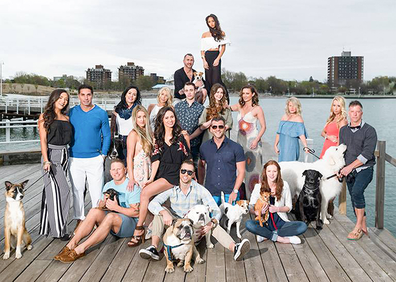 Shelter fashion show takes the path of leashed resistance