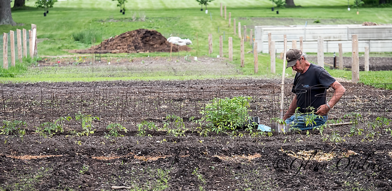 Garden plot
