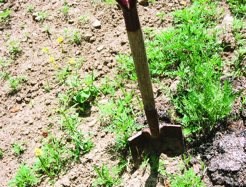 Call-before-you-dig bill has had an impact on safety