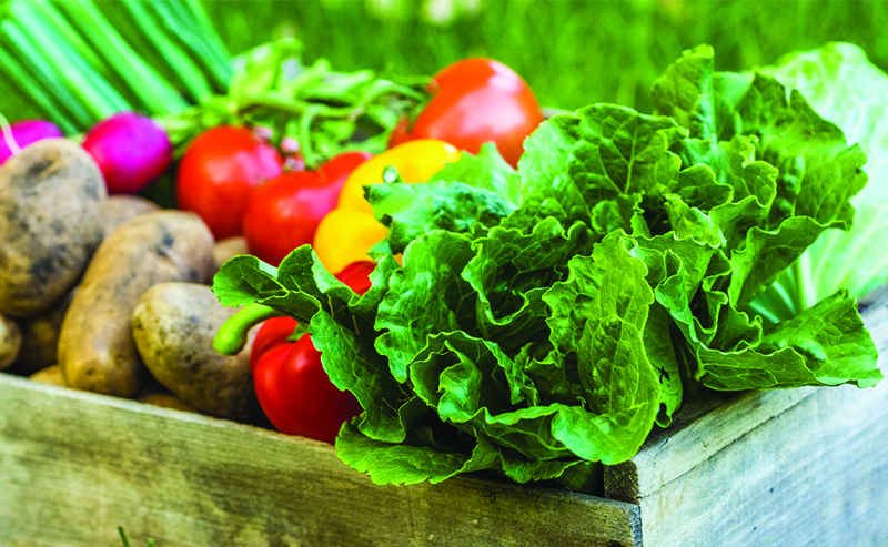 Mobile Market is back and providing fresh produce each week