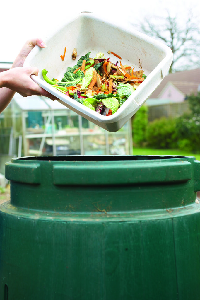 Every Sarnia kitchen might soon have a compost bucket