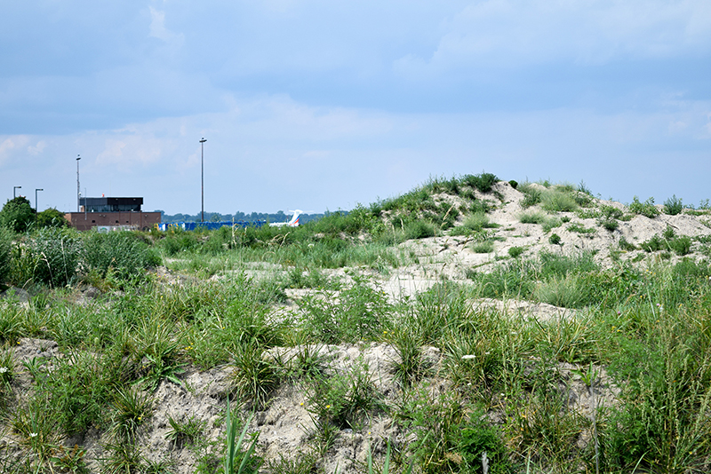 Soil dumped at the airport earning heaps of criticism