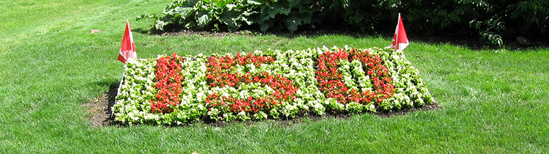 Saying it with flowers
