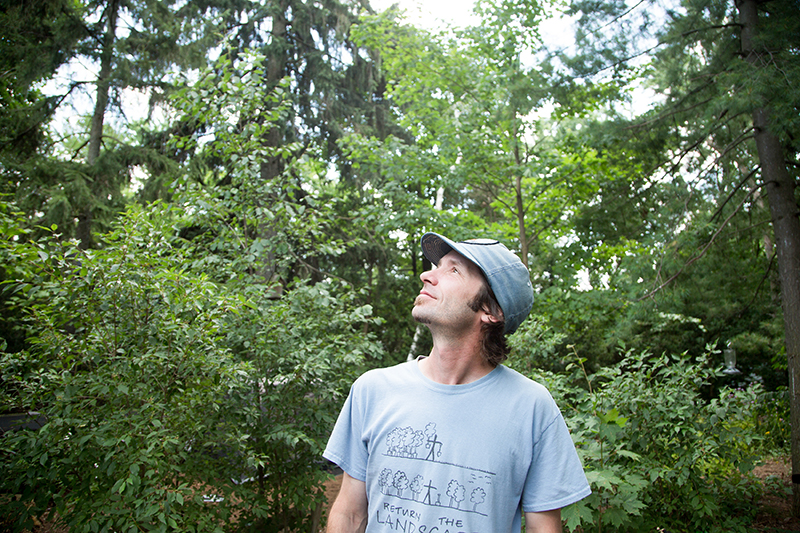 Bylaw restricting tree cutting to help everyone, expert says