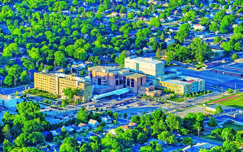 Tree bylaw encountering public pushback