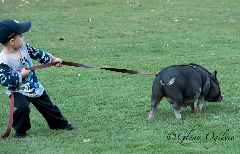 Whoa there, Petunia!