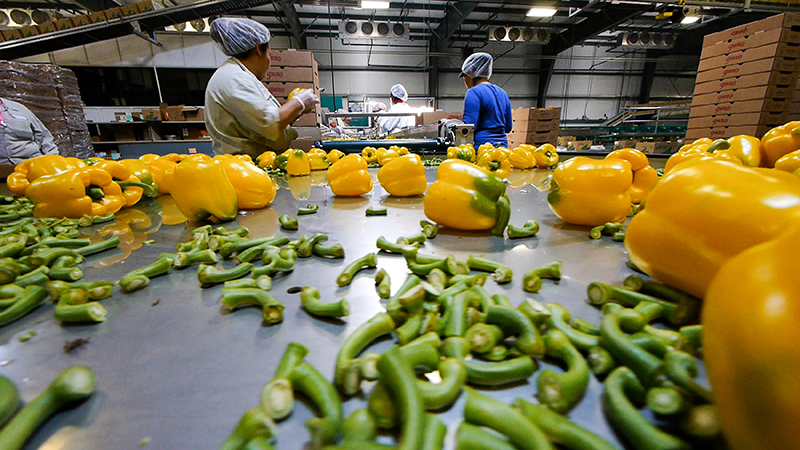 Justice Film Festival kicks off with story about migrant workers