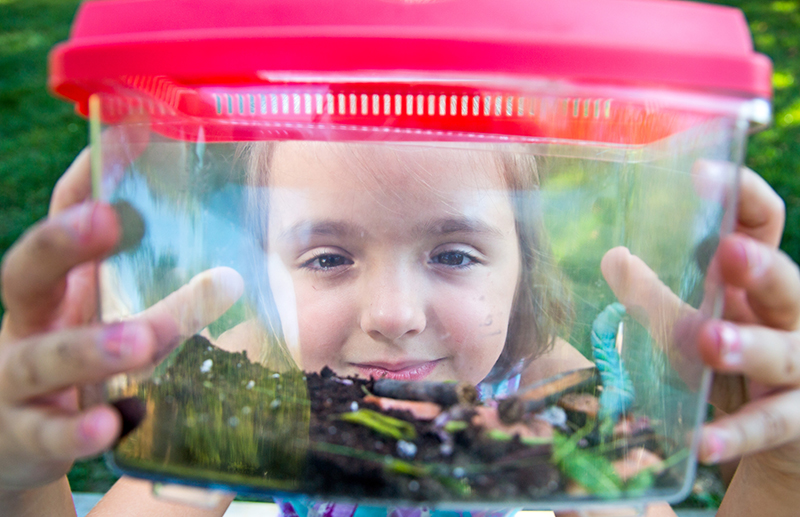 City girl’s love of insects became an international sensation
