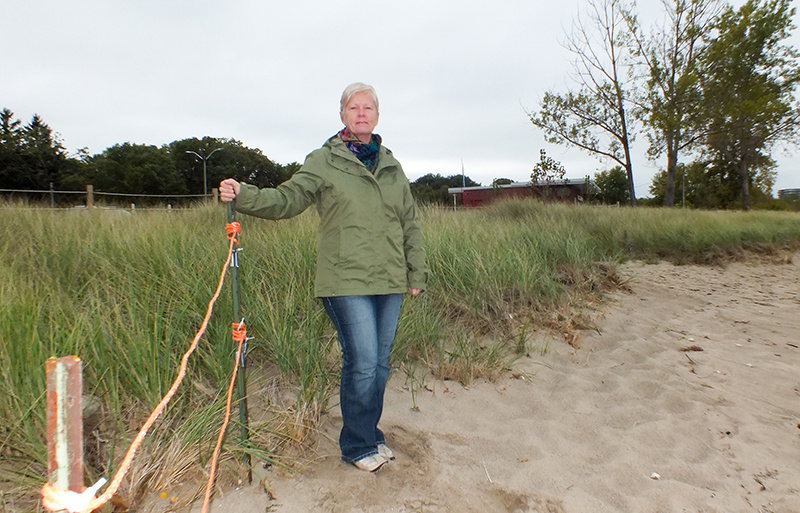 Canatara Beach-goers ignore warnings to ‘Stay off the Grass’