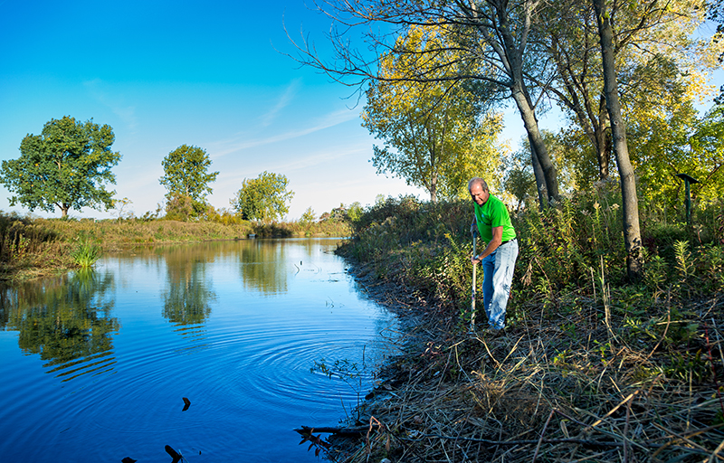 City man waging personal war against invasive phragmites