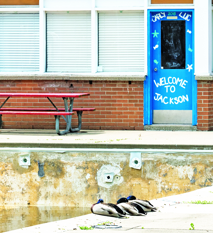 Council punts on Jackson Pool, decision delayed till next year