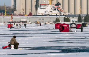 Ice fishing on Sarnia Bay