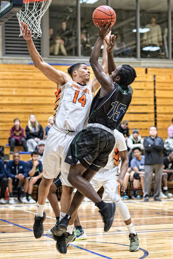 9 rookies join optimistic Lambton Lions basketball team