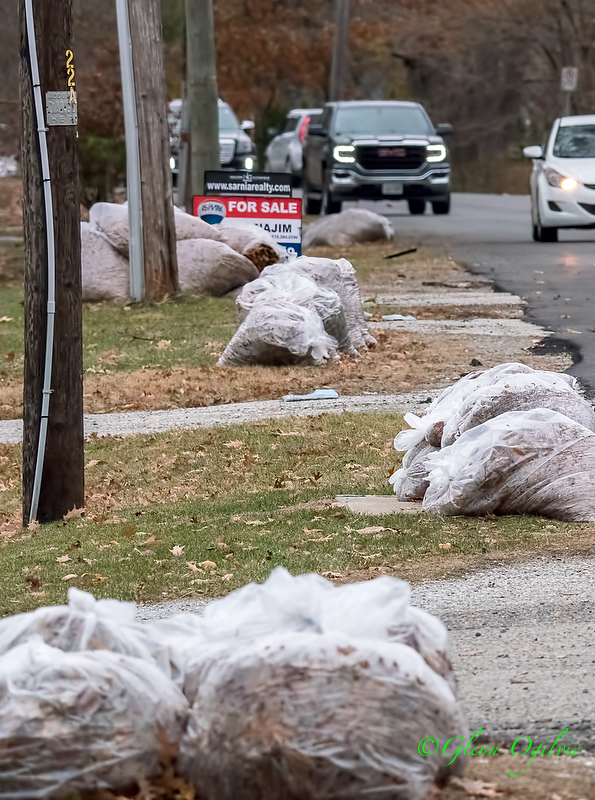 City council to reconsider its ban on plastic leaf bags