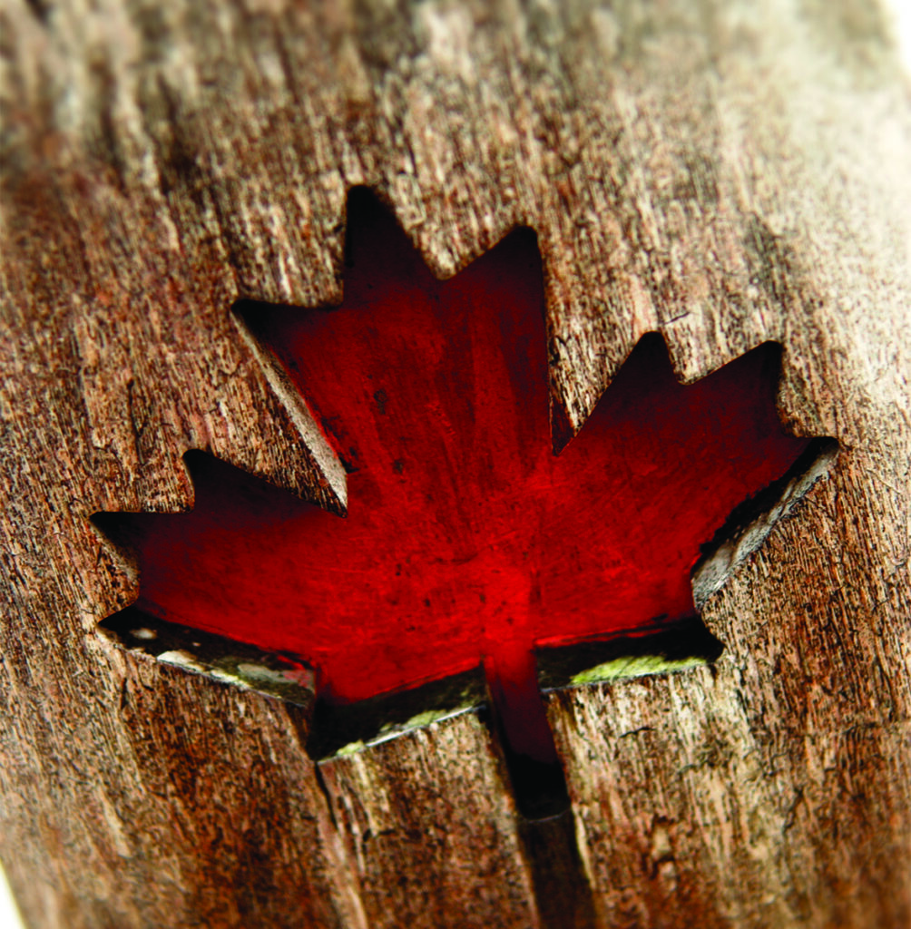 GUEST COLUMN: Quebec’s religious symbol ban is state-sanctioned bigotry