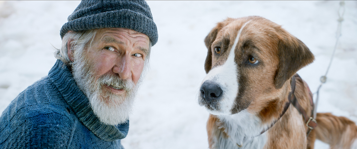 FILM REVIEW: Call of the Wild a phony retelling of the classic story