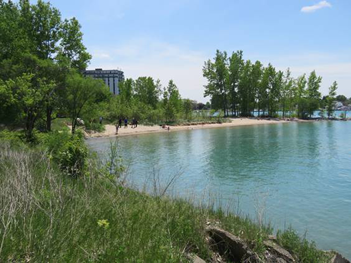 Police cracking down on unruly behaviour at The Cove