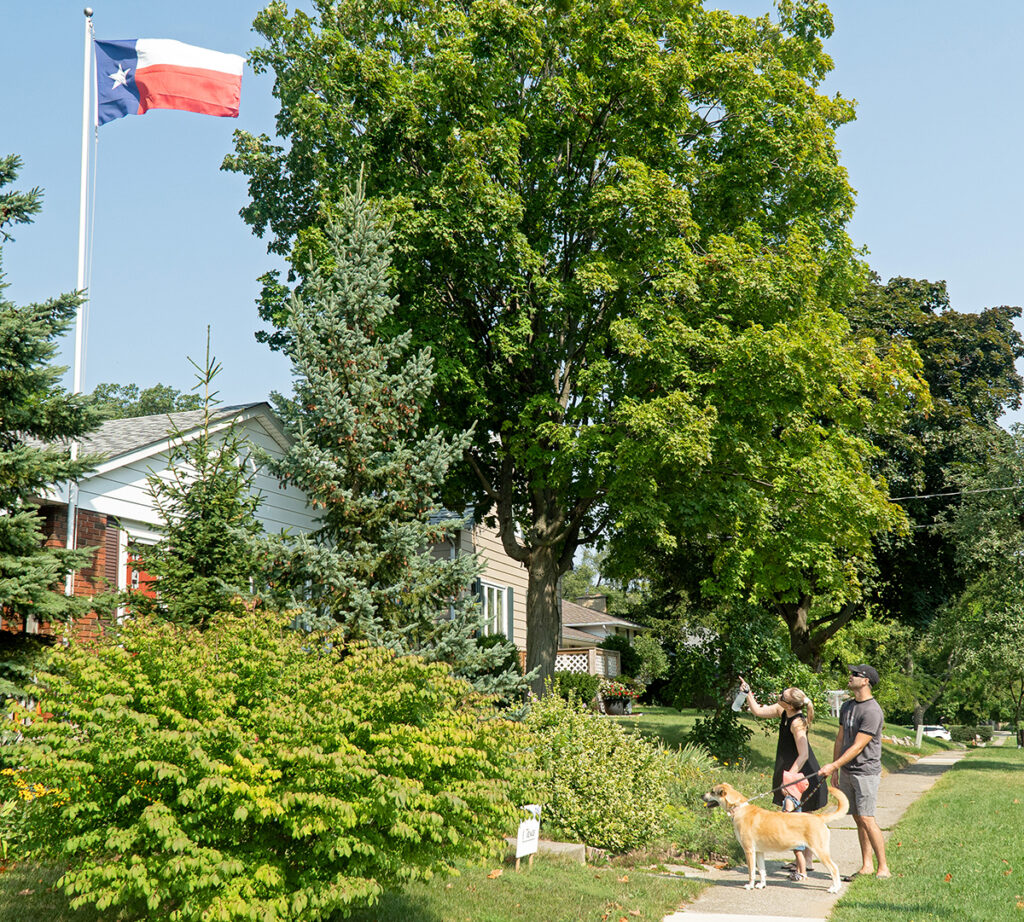 It’s been a banner year for flag-flying Sarnia woman
