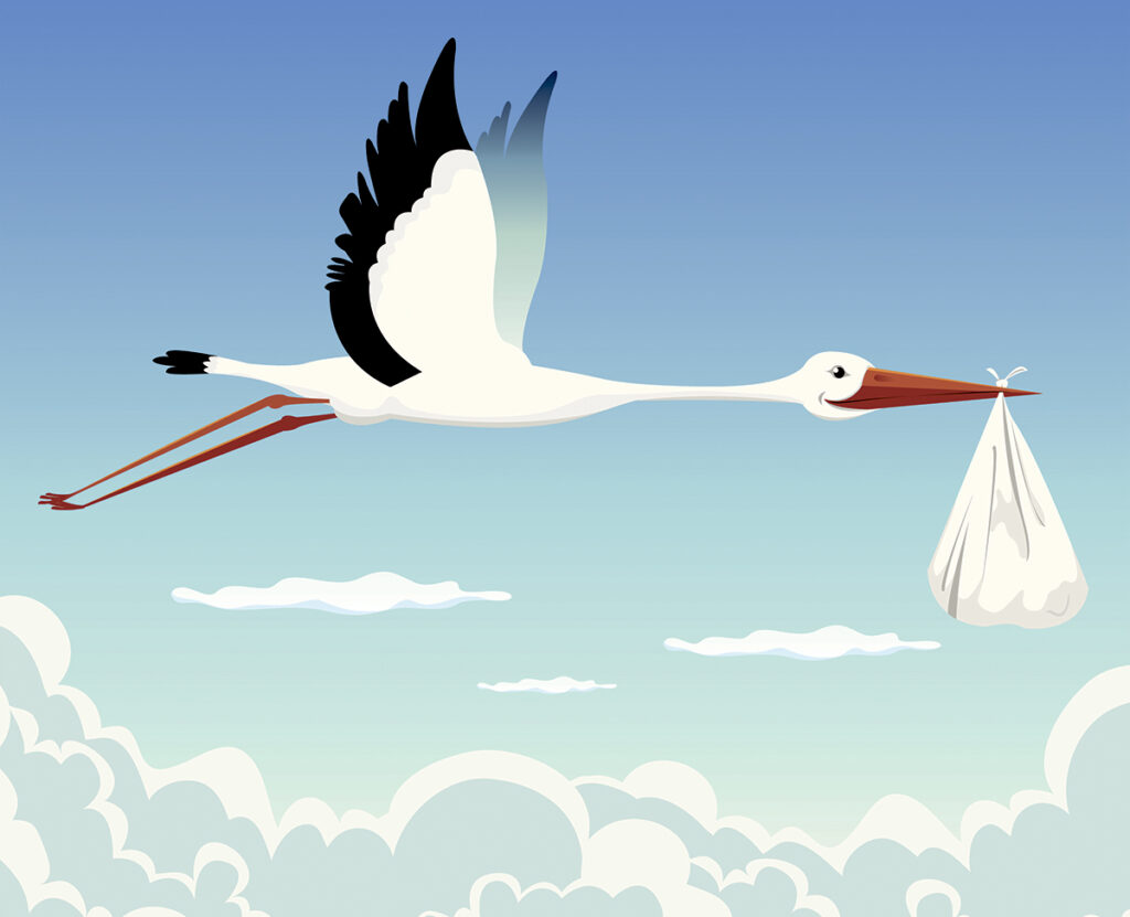 OPINION: Why are storks associated with newborn babies, anyway?