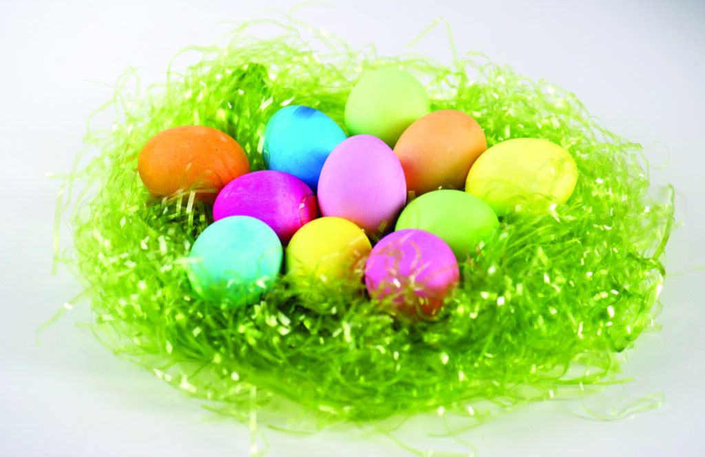 Easter Bunny returning live to Canatara Park
