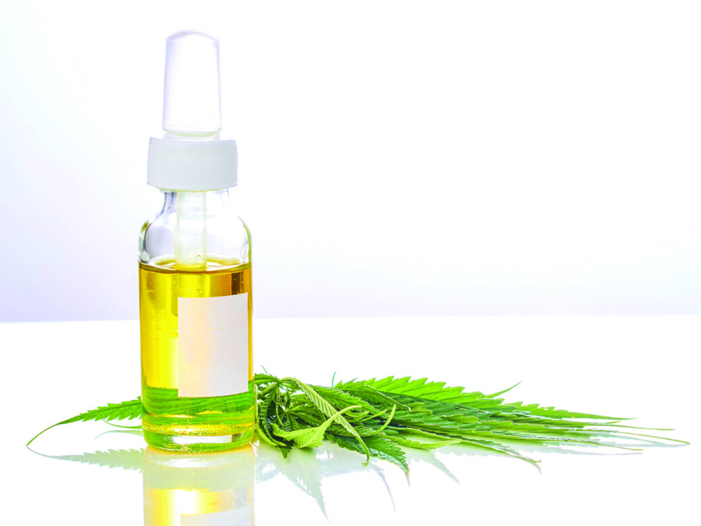 Research study to test cannabis therapy on local folks with dementia