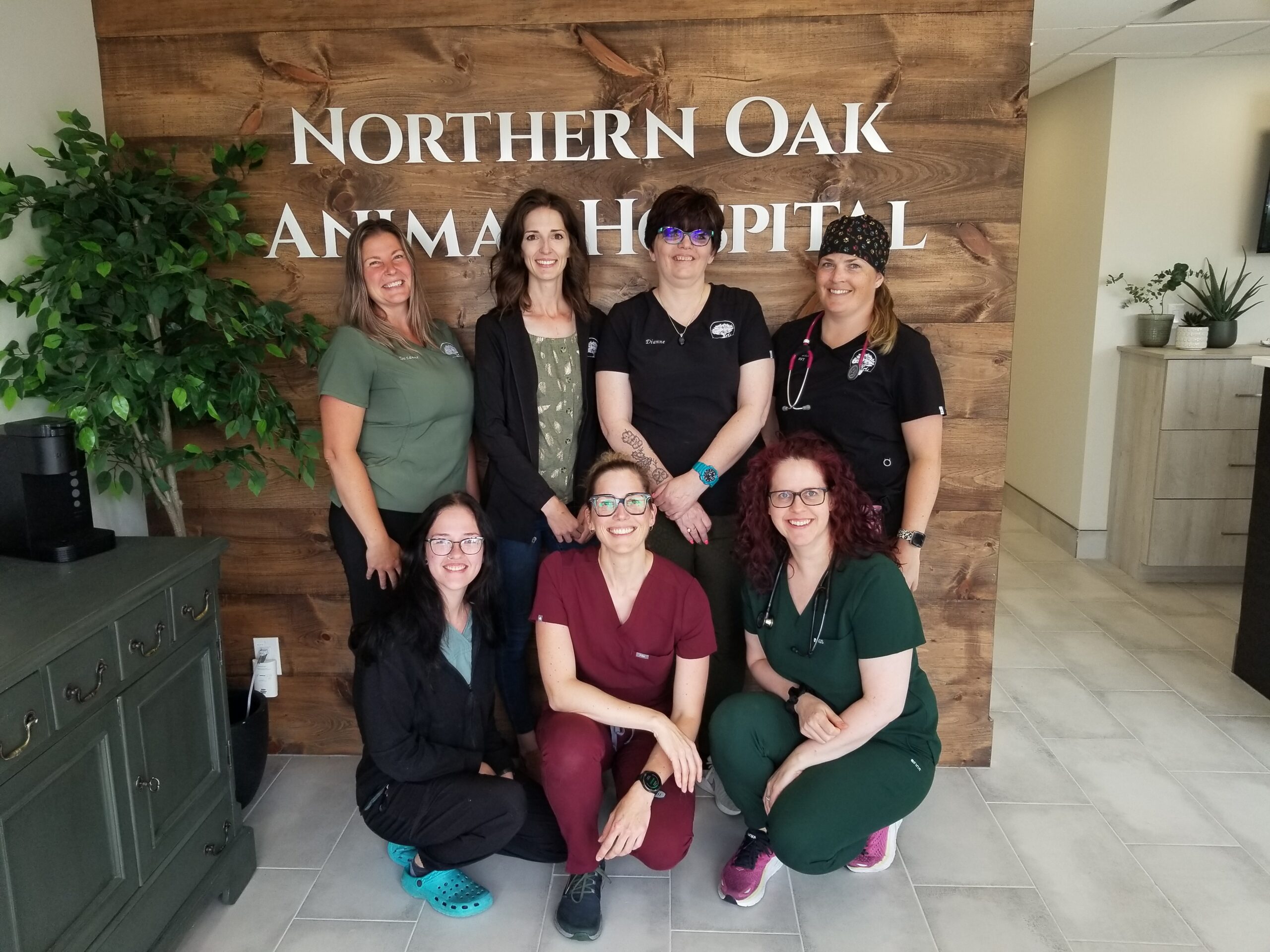 Northern Oak Animal Hospital: The next level of pet care