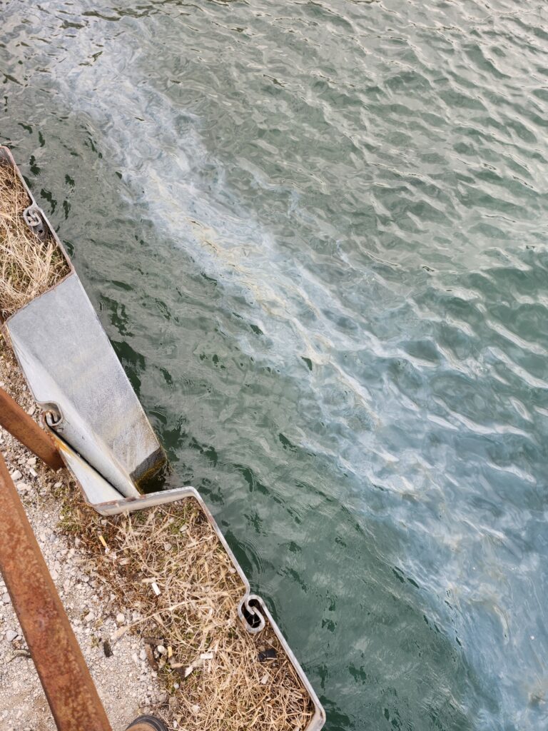 COMMUNITY VOICE: Suncors’ Crude Oil Spill on the Gchigami-Ziibii (St.Clair River)