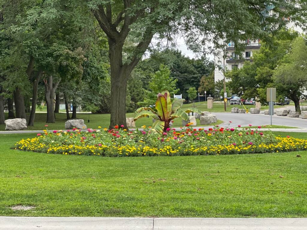City of Sarnia recruiting students for summer parks and recreation roles