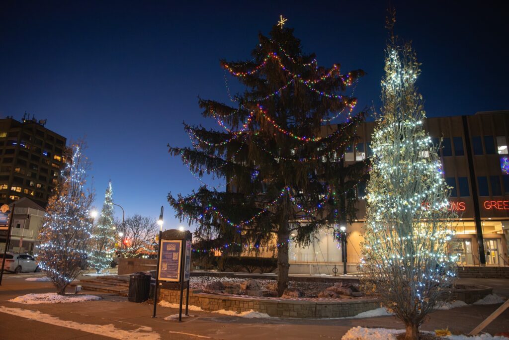 The ‘Charlie Brown’ Christmas tree uproar