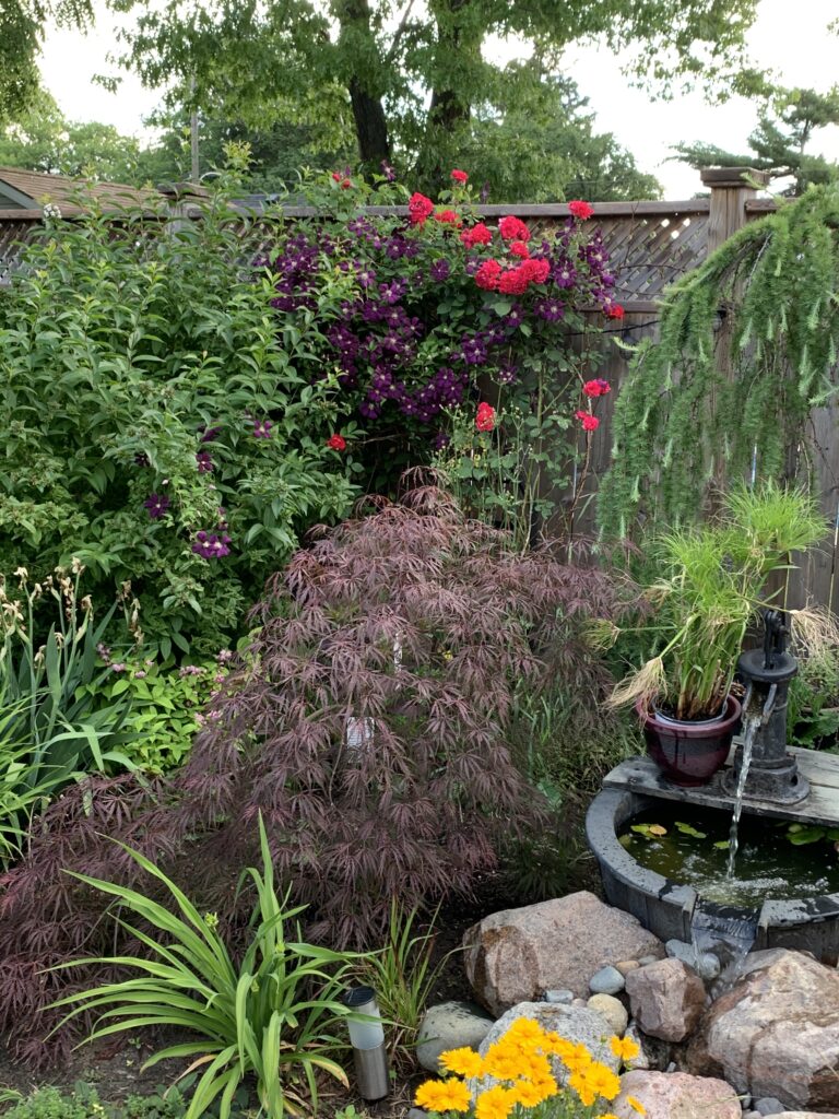 Sarnia garden tour to raise money for local not-for-profit