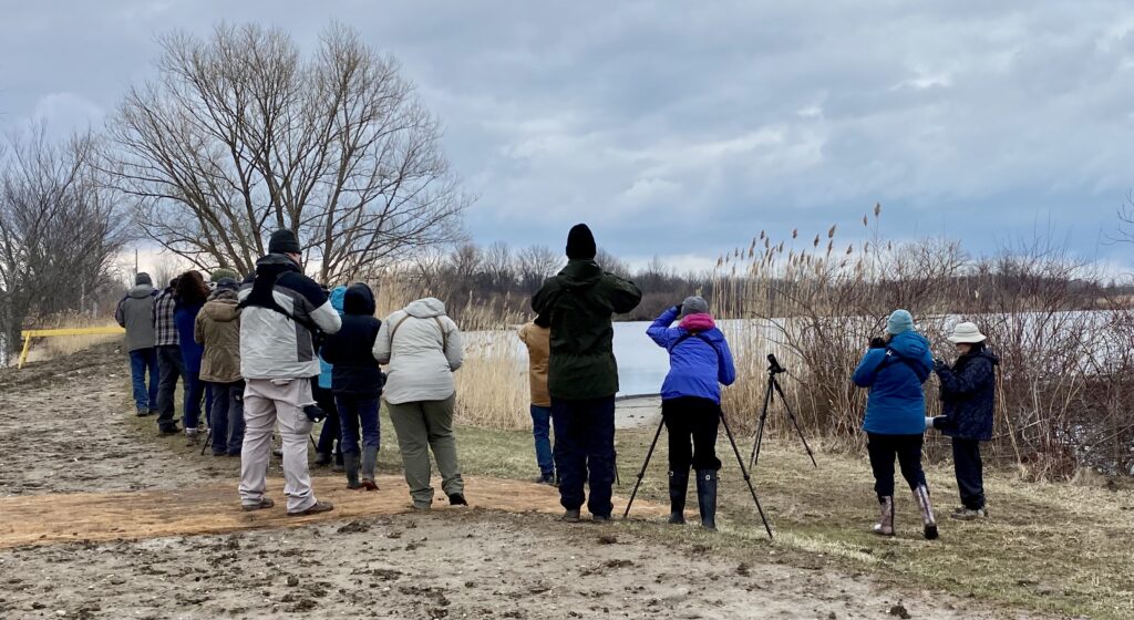 Sarnia-Lambton to host provincial birding convention this September