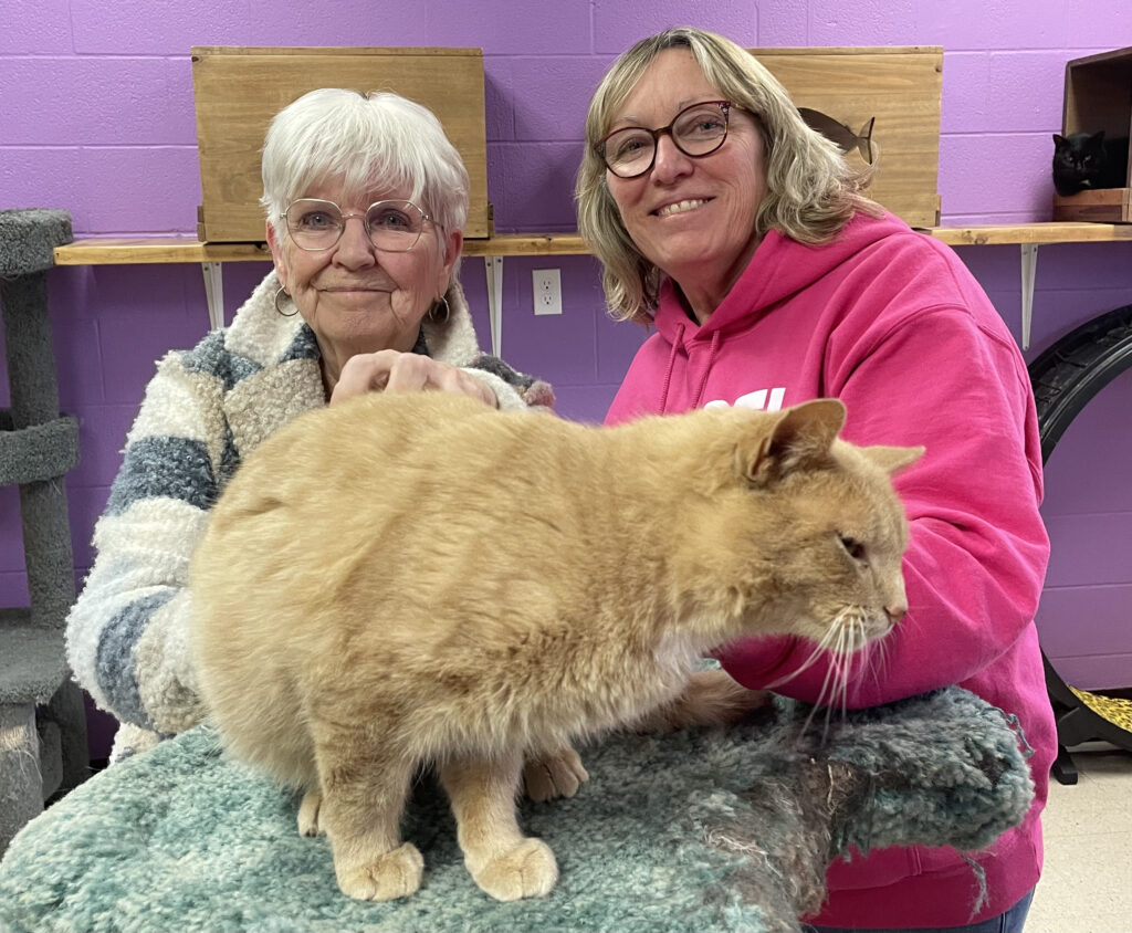Local woman establishes new fund to fix more pets