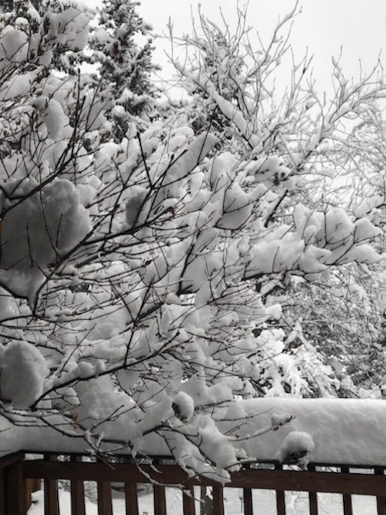 Beware of too much snow around vents, meters, tanks