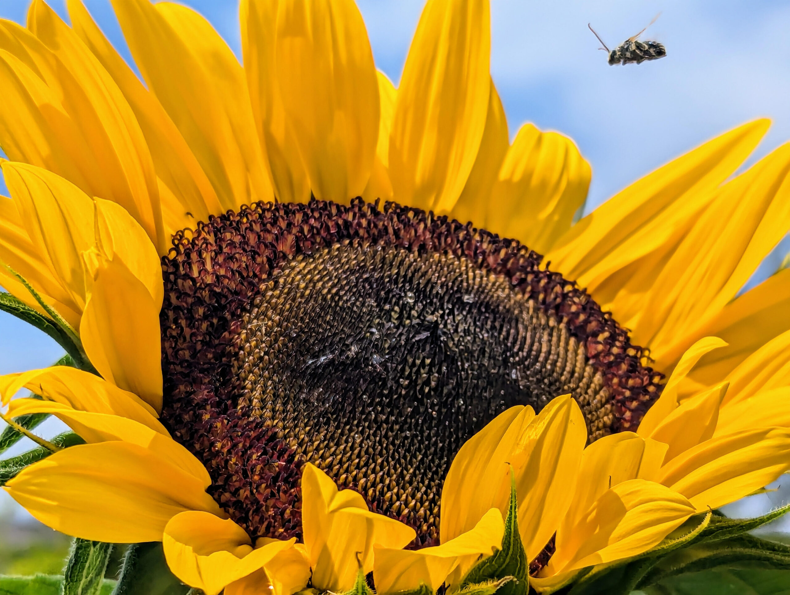 Good morning, Sarnia-Lambton! Here are your headlines & weather for August 14, 2024