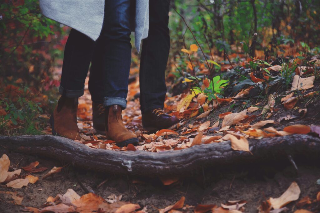 A Journey from Belfast to Sarnia: Embracing the Nature Cure