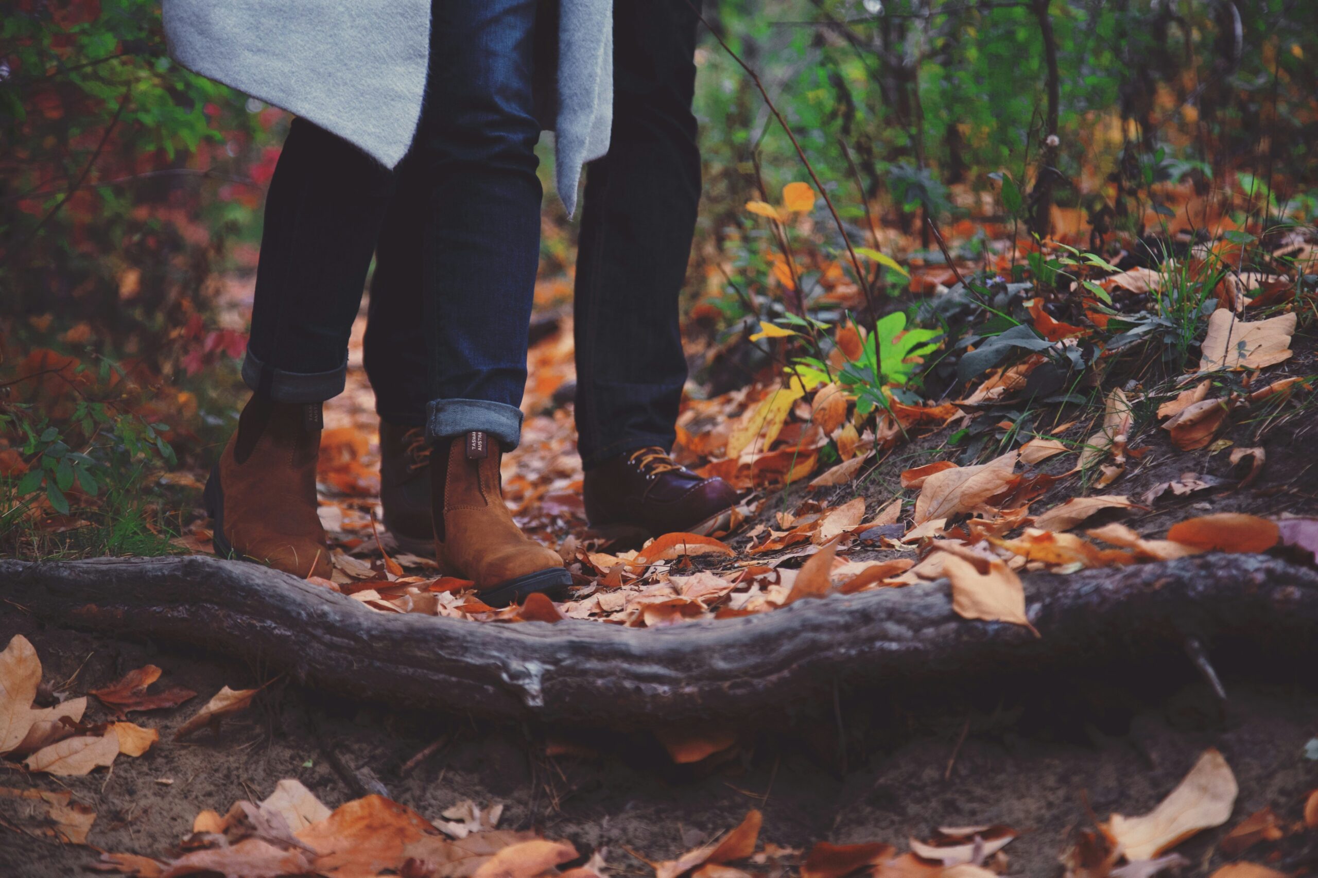 A Journey from Belfast to Sarnia: Embracing the Nature Cure