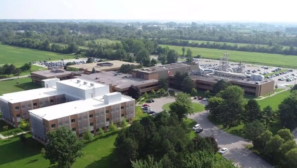 Lambton Business Collaborative launches with events addressing trade and economic challenges