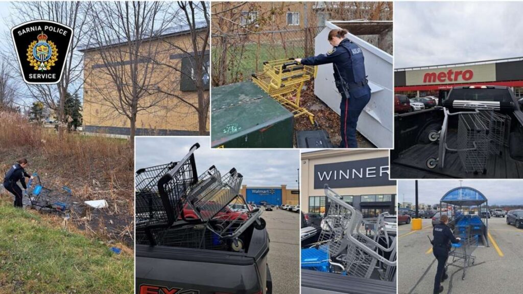 Sarnia Police grocery cart initiative results in two criminal charges since 2024