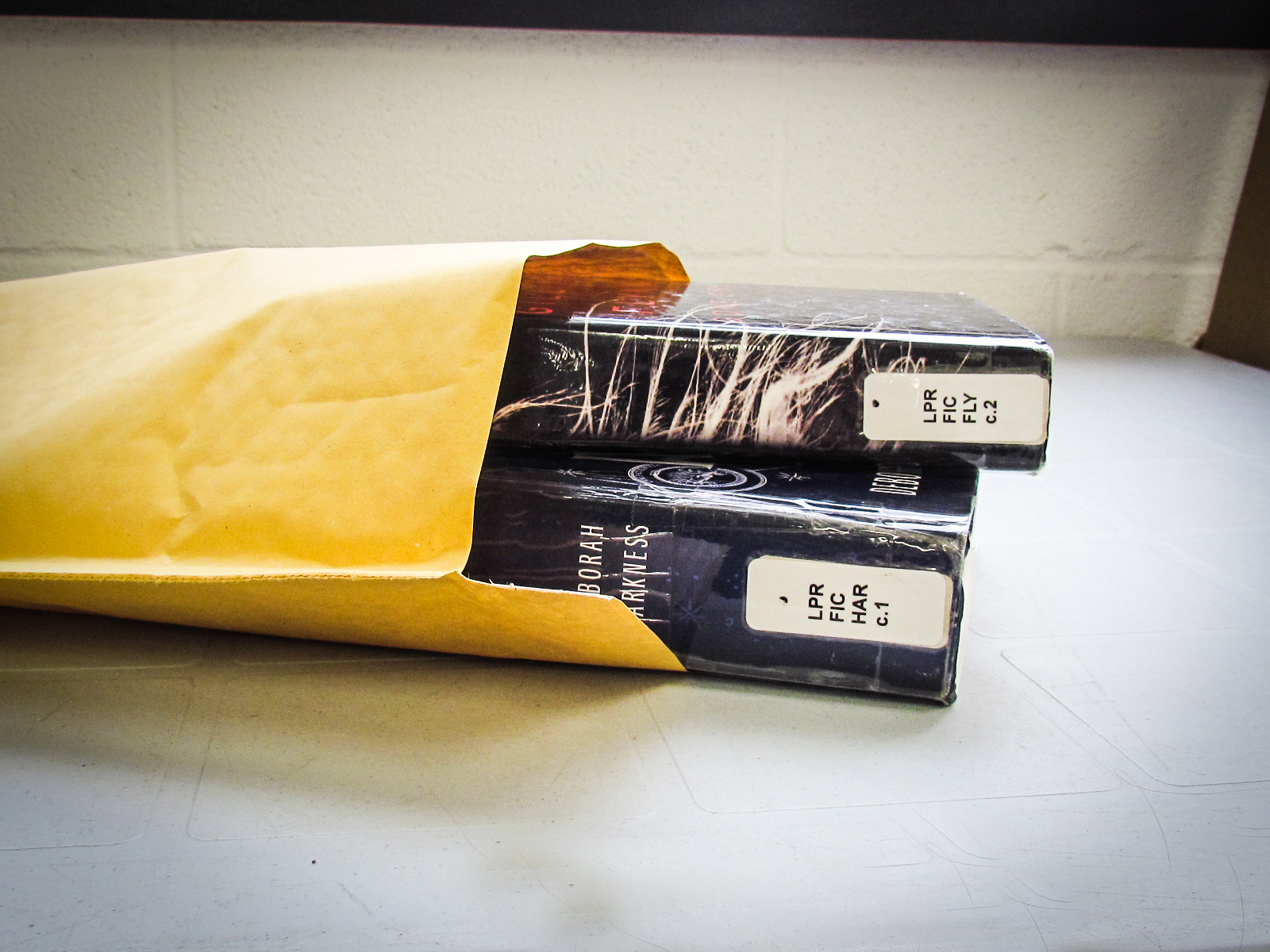 Lambton County Library launches Library by Mail service