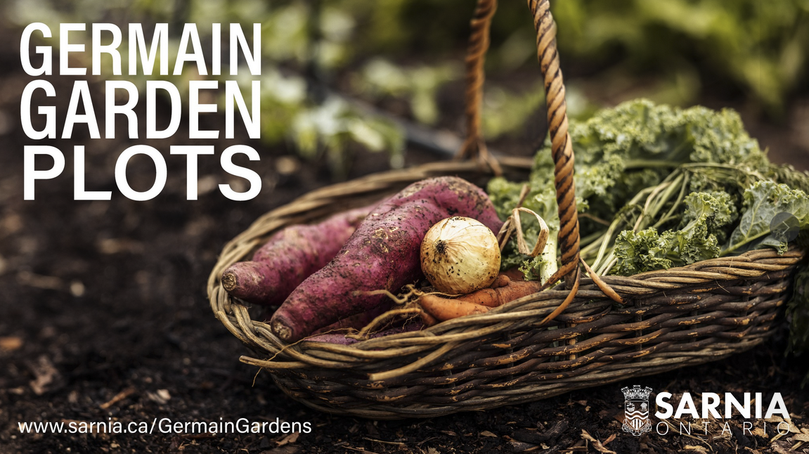 Urban gardening returns to Germain Park with 2026 plot bookings