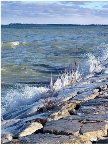 Winter Wonders: Bluewater Trails Photo Contest Winners Revealed