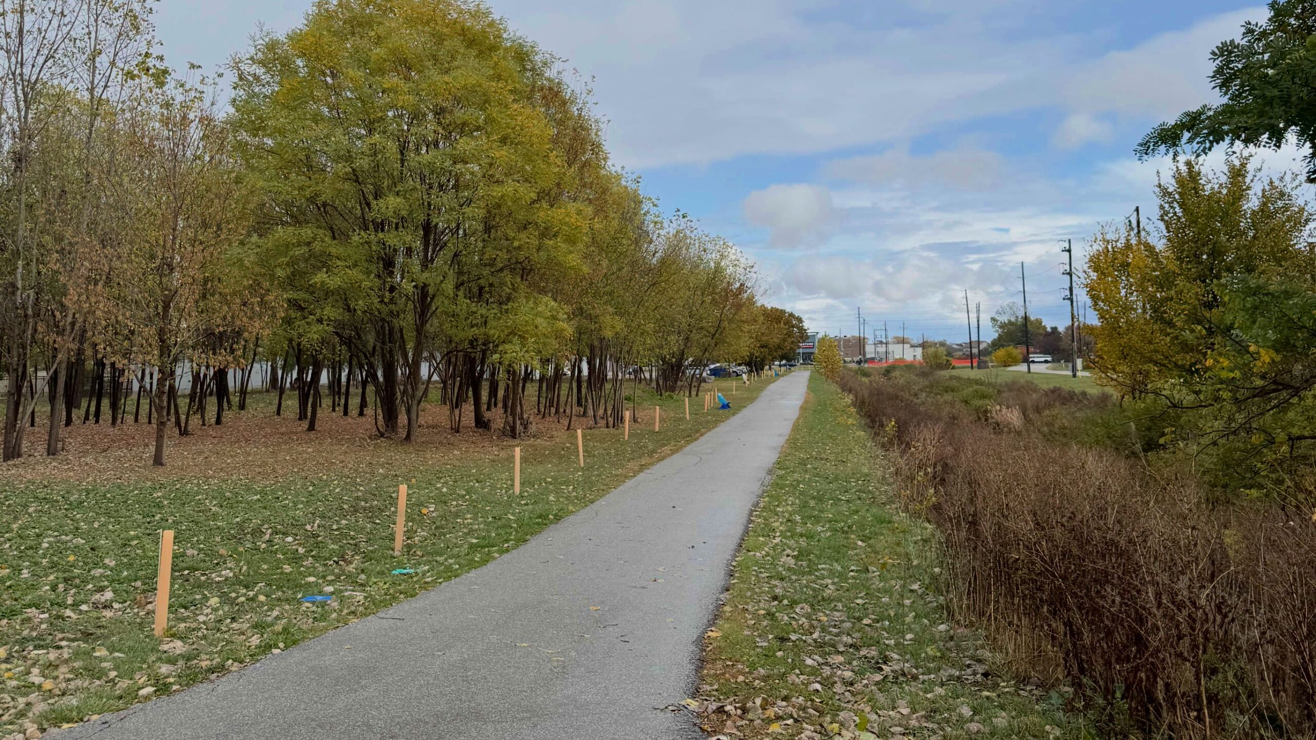 The Midtown Trail in autumn, in a photograph supplied by nuSarnia for its fall cleanup.